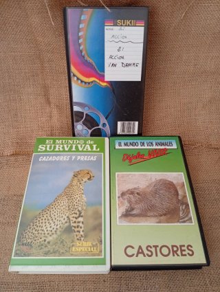 Lote 6 Películas VHS Disney Clásicos