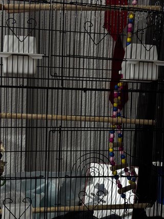 Jaula grande para pájaros