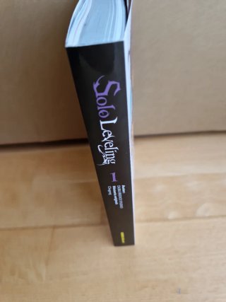 SOLO LEVELING 01