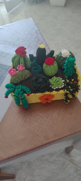 Composizione piante grasse uncinetto