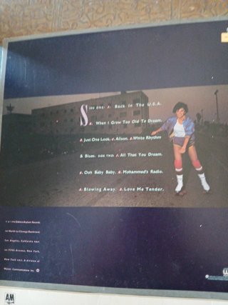 Lote 4 Vinilos: Linda Ronstadt, Joan C. Baez, Flor