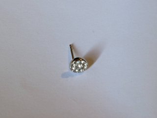 Pendientes Fossil Plata 925