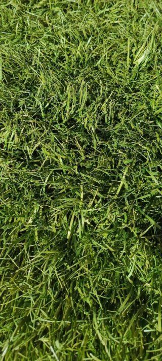 Césped artificial fútbol - Verde