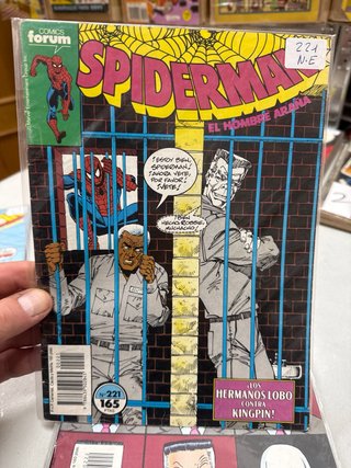 Lote 5 de 10 números Spiderman Forum