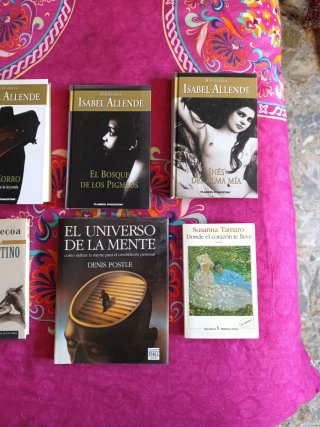 Lote libros