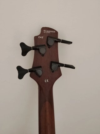 Guitarra eléctrico con funda