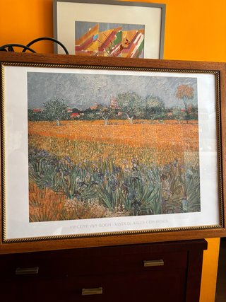 Cuadro Van Gogh - Vista Arles con Iris