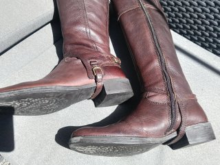 Botas Geox Marrones Mujer