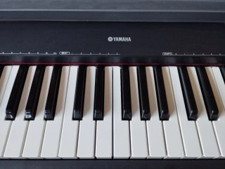 Teclado Yamaha NP-30 Portable Grand