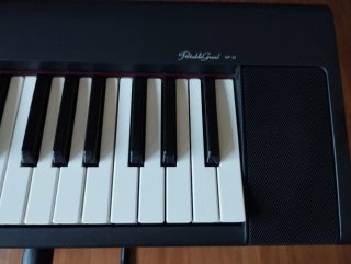 Teclado Yamaha NP-30 Portable Grand