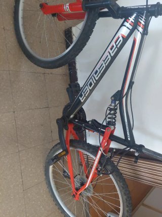 Bicicleta Montaña FREERIDER