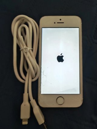 iPhone 5S Dorado con Cable