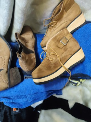 Lote de zapatos marrones