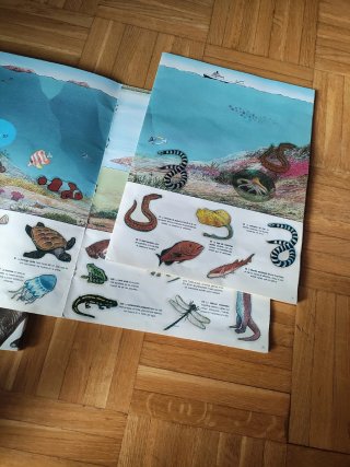 Lote 2 álbumes: Animales Prehistóricos y Cromolina