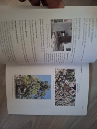 Libro ÁRBOLES SINGULARES de la ciudad de CORDOBA