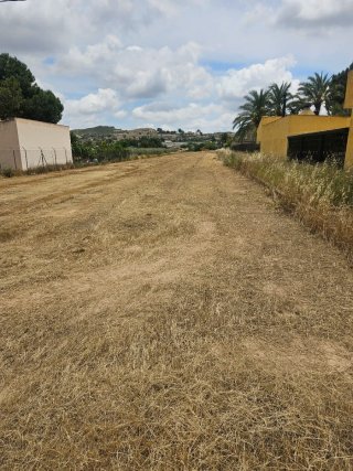 Parcela en Aspe