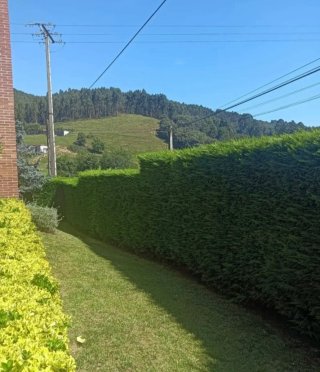 JARDINERO ECONÓMICO HERRAMIENTA PROPIA