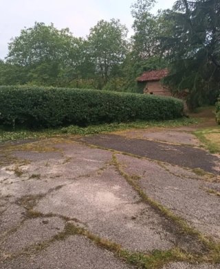 JARDINERO ECONÓMICO HERRAMIENTA PROPIA