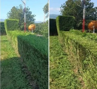 JARDINERO ECONÓMICO HERRAMIENTA PROPIA
