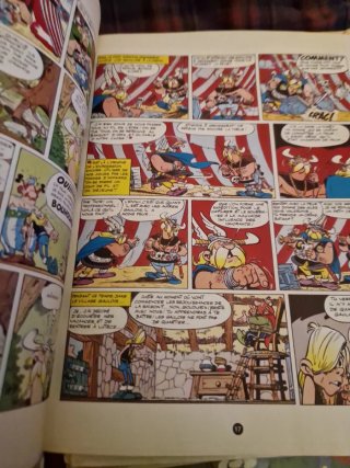 Asterix et les Normands