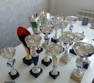 Lote 16 Trofeos Deportivos Plata.