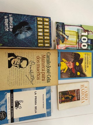 Lote libros