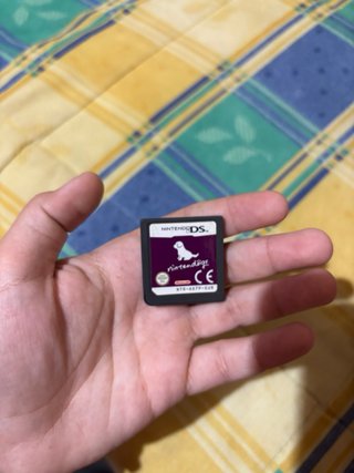 Nintendo 2DS Rosa