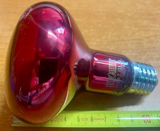 Lampada Exo-Terra 100W Infrared Basking Spot