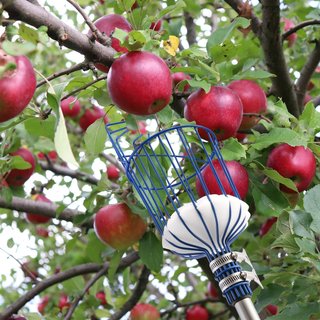 Recolector de frutas extensible 4m