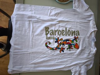 T-shirt Barcelona Gaudi Lizard