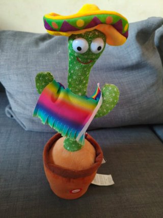 Cactus Parlanchín Ale-hop