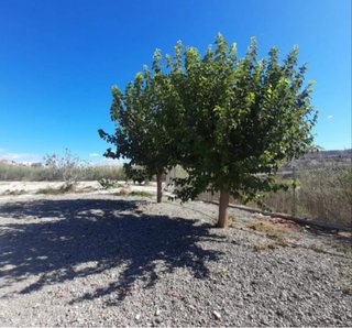 Finca Rústica