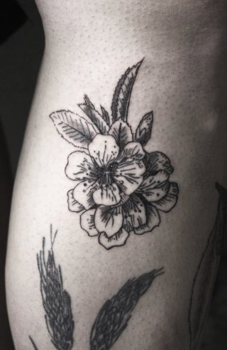 Tattoos de línea fina y Blackwork. Granada.