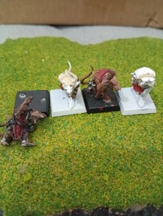 Warhammer guerreros de clan y rata ogro Skavens