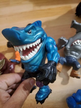 Lote Street Sharks