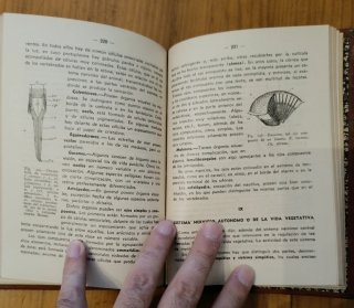 Ciencias fisico-naturales. 1941