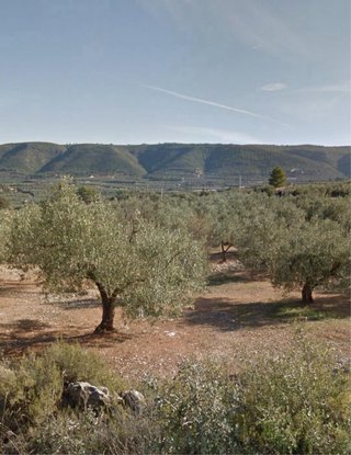Terreno en Enguera con casa de aperos
