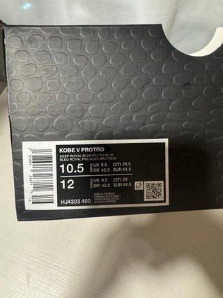 Zapatilla Baloncesto Nike Kobe Azul Huesos