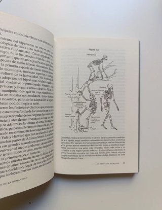 El origen de la humanidad.