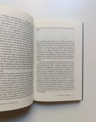 El origen de la humanidad.