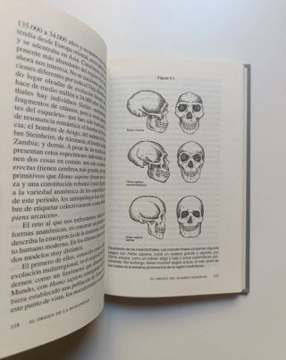 El origen de la humanidad.