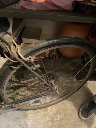 Bicicletta uomo Bianchi Flumen