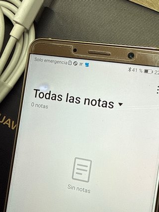 Huawei Mate 10 Negro/Dorado