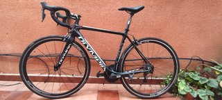 Olympia 2019 Carbono Ultegra Di2 Potenciómetro