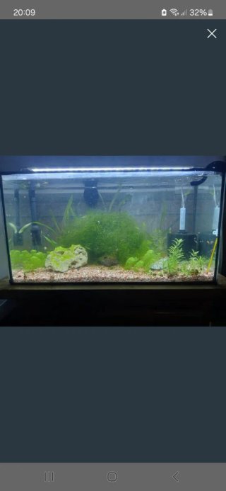 Acuario
