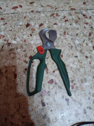 Tijeras de podar verdes