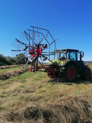 Rastrillo hilerador agrícola