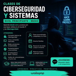 Clases de informatica de sistemas y ciberseguridad