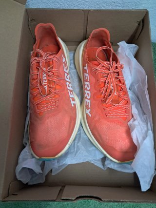 Adidas terrex