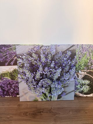 Cuadro Decoración Lavanda
